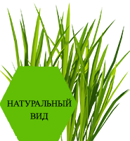 Натуральный вид