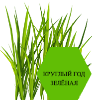Не требует полива 