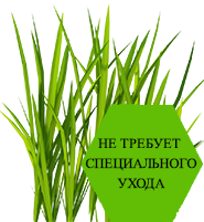 не требует ухода